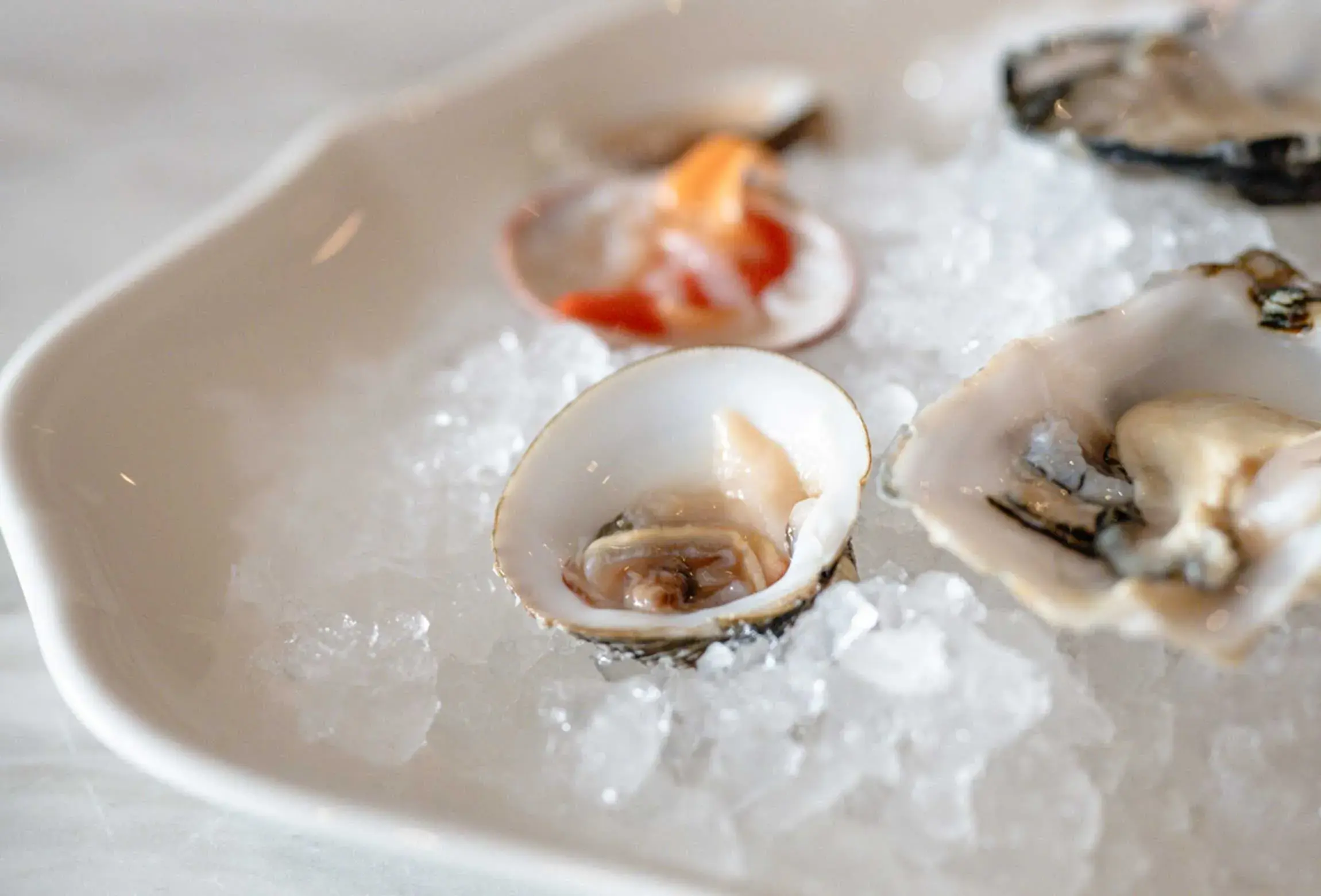 Welcome to Sea Satin Athens