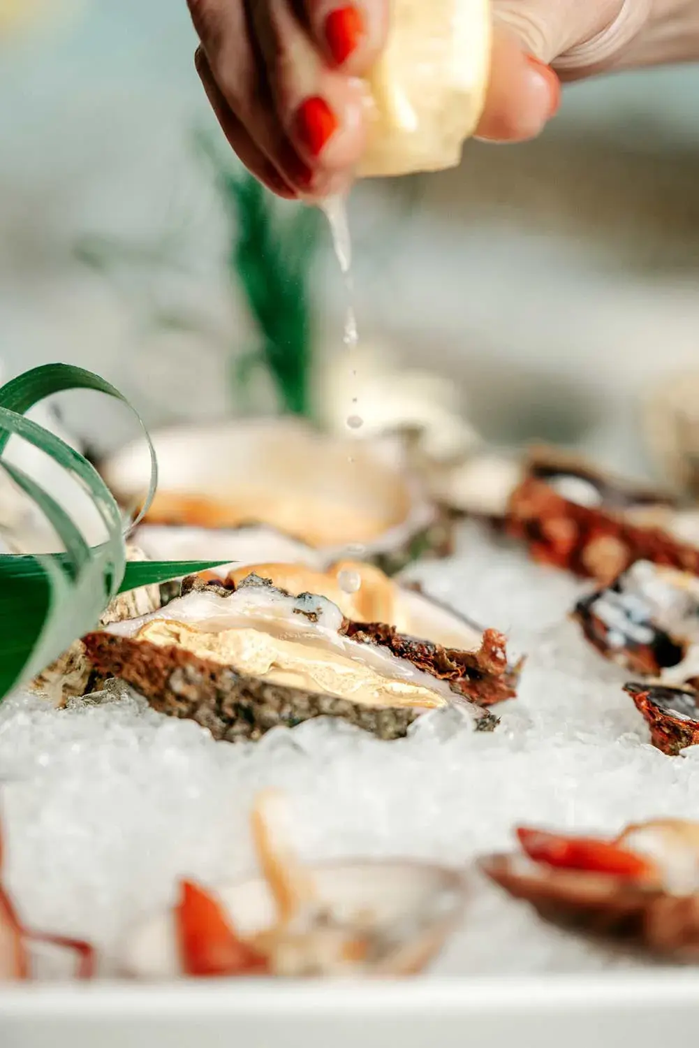 Welcome to Sea Satin Athens